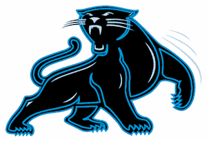 Carolina Panthers alternate logo -- NFLbets