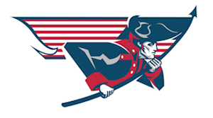 NFL bets alternate New England Patriots logo