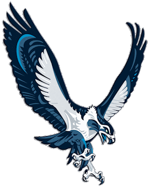 Seattle Seahawks alternate betting logo