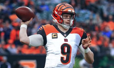49ers vs Bengals NFL Betting Odds, Trends and Prediction for Week 14
