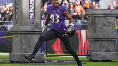 Arizona Cardinals connections in Ravens-Bengals playoff game