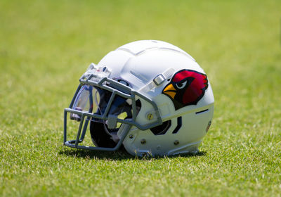 Arizona Cardinals Wide Receiver Marquise Brown Was Arrested This Week