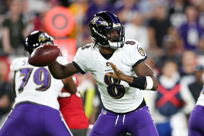 Baltimore Ravens vs. Carolina Panthers Best Bets for Week 11