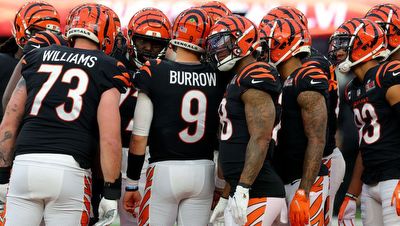 Bengals don't have the usual target that attaches to Super Bowl teams