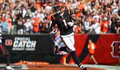 Bengals vs Bills NFL Predictions 🏈 Divisional Round Odds & Picks