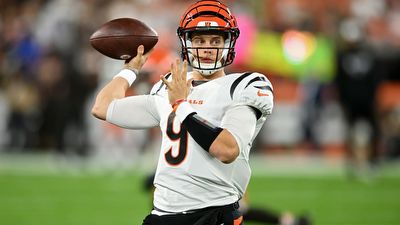 Bengals vs Panthers Best Bets for Week 9