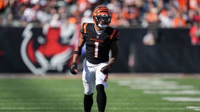 Bengals vs Steelers Week 11 Final Inactives Report