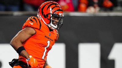 Best NFL Prop Bets for Browns vs. Bengals in Week 14 (Expect Another Big Game from Ja'Marr Chase)