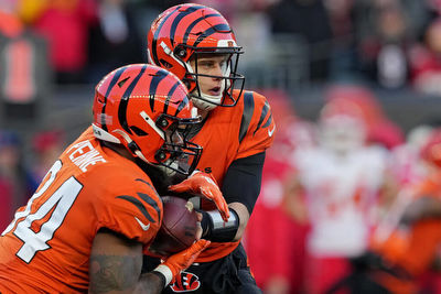 Browns at Bengals spread, line, picks: Expert predictions for Week 14 NFL game