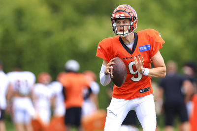 Joe Burrow NFL Player Prop Bets And Picks For Week 2