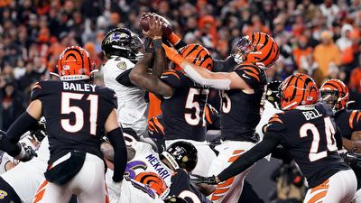 Lamar Jackson Selfishly Cost the Ravens a Playoff Win vs. the Bengals