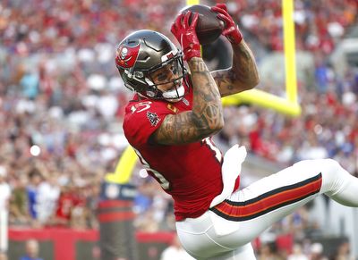 Mike Evans Player Prop Bets for the NFL Playoffs