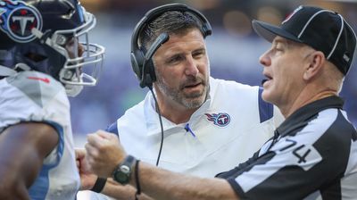 Mike Vrabel calls for more training of officials, in order to ensure consistency
