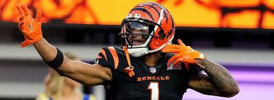 NFL DFS Sunday Night Football picks, Wild Card Weekend: Bengals vs. Ravens fantasy lineup advice, projections for DraftKings, Fanduel from Millionaire contest winner