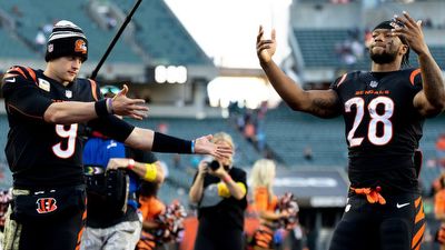 Panthers vs. Bengals 2022: Revisiting our bold predictions for Week 9