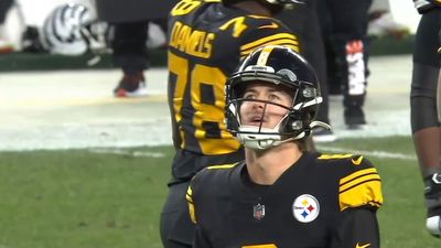 Steelers Vs Bengals Winners And Losers